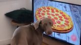 البيتزا على شاشة التلفزيون