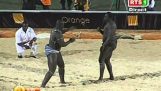 Wild duel in Senegal