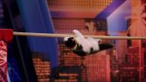 Trained cats in America's Got Talent