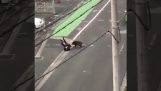 Diviak útoky chodec (Japonsko)