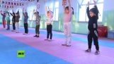 Çinli dövüş sanatları okulunda çocukların yoğun egzersiz programı