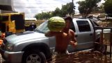 Expert at catching watermelons
