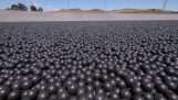Why are placed 96.000.000 balls into a drinking water tank;