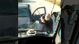 Priest bryter en coach med brekkjern (Santorini)