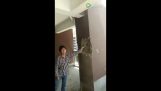 Apartmán “Vyrobené v Číne”