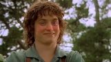 When Frodo is drunk