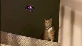 Macska a mini drón ellen