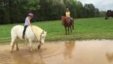Ponyer ønskede at spille i vandet