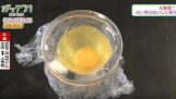 Schiusa di un uovo senza guscio