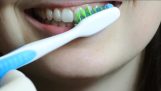 كيف يمكن فرشاة الأسنان الخاصة بك بشكل صحيح