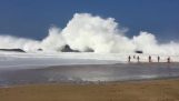 在夏威夷的大岛上巨大的海浪