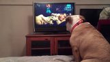 Câine avertizează eroina într-un film de groază