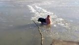 Bir köpeği kurtarmaya göl buz kırıldı