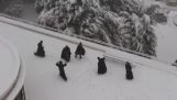 Monks in Jerusalem play snowball fight