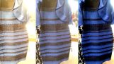 De quelle couleur est terminé cette robe;