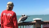 Ajudar em uma bomba de bico de pelicano