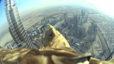 Eagle tekee laskeutuminen pilvenpiirtäjä Burj Khalifa