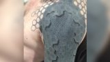 Increible tatuaje 3D