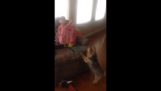 A kutya akart a babával játszani