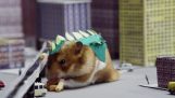 Le hamster Godzilla qui panique dans la ville