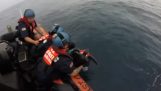 Coast guard pelastaa kaksi kilpikonnaa