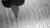 Un disc de vinil sub microscop