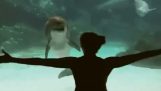 Πως θα κάνεις ένα δελφίνι να γελάσει