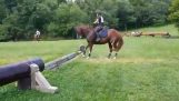 Terughoudend paard springt een hindernis