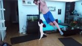 Pole Dance together with a cat
