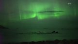 Balene sotto l'aurora boreale