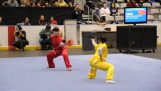 Una impresionante demostración de Kung-Fu
