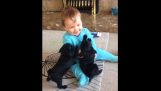 A baby and two puppies