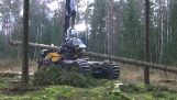Uma máquina eficaz para o corte de árvores