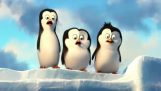 Die Pinguine von Madagaskar