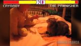 Street Fighter: Katte udgave