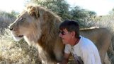 11 ani se împrietenește cu un leu