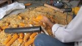 Cortar el maíz de la mazorca