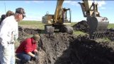 Mammut utgraving nær Chelsea, Michigan