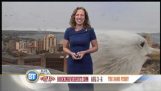 Wenn ein Giant Seagull beschießt Ihren Weather Report