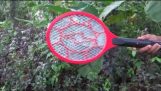 Killing hundreds of mosquitoes in minutes.Keep the speakers on !