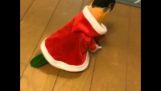 Santa Bird Costume