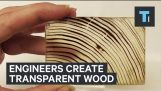 מהנדסים ליצור עץ שקוף