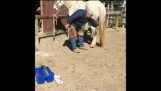 Hvordan å skoen en nervøs hest