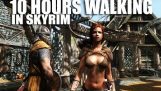 10 hours walking in Skyrim as a woman