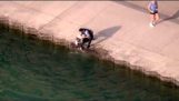 policía de Chicago rescata perro del lago Michigan: VIDEO RAW