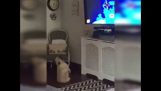 Un câine de dans în fața televizorului