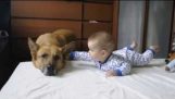 Baby & hond