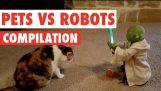 Huisdieren Vs Robots Video Compilation 2016