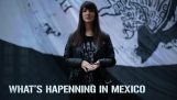 Vad som händer i Mexiko. Därför säger vi #YaMeCanse