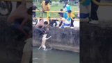 Stray dog had fallen into a monsoon drain and had to keep swimming to stay afloat